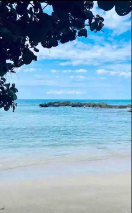 Natty'S Cozy Beach House In Hanover Jamaica 루세아 외부 사진