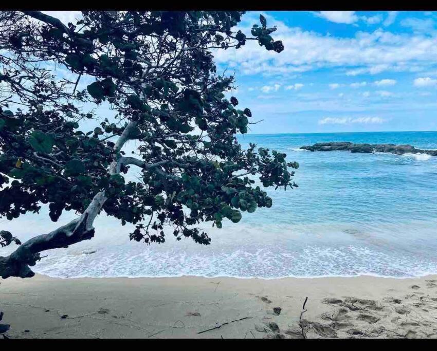 Natty'S Cozy Beach House In Hanover Jamaica 루세아 외부 사진
