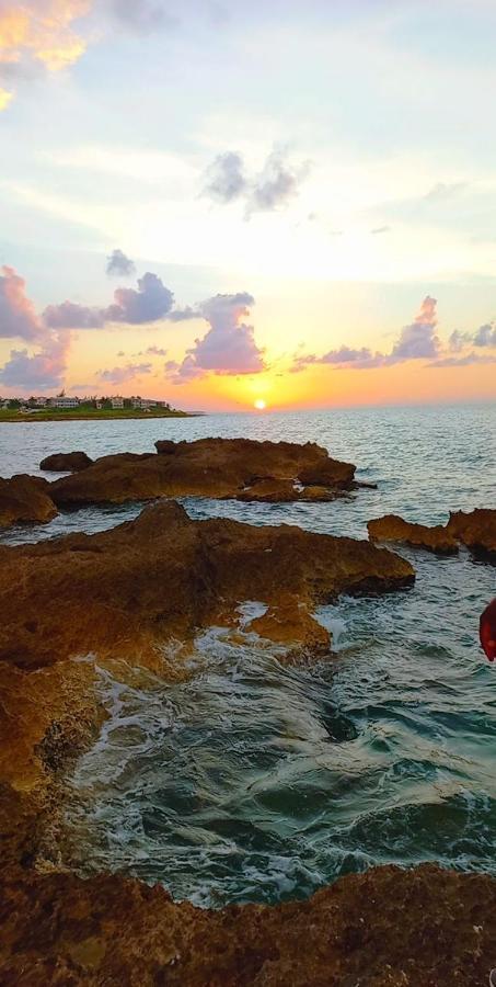 Natty'S Cozy Beach House In Hanover Jamaica 루세아 외부 사진